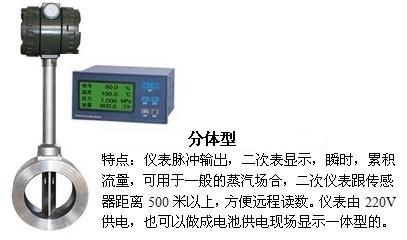 高壓氣體流量計分體型產品圖